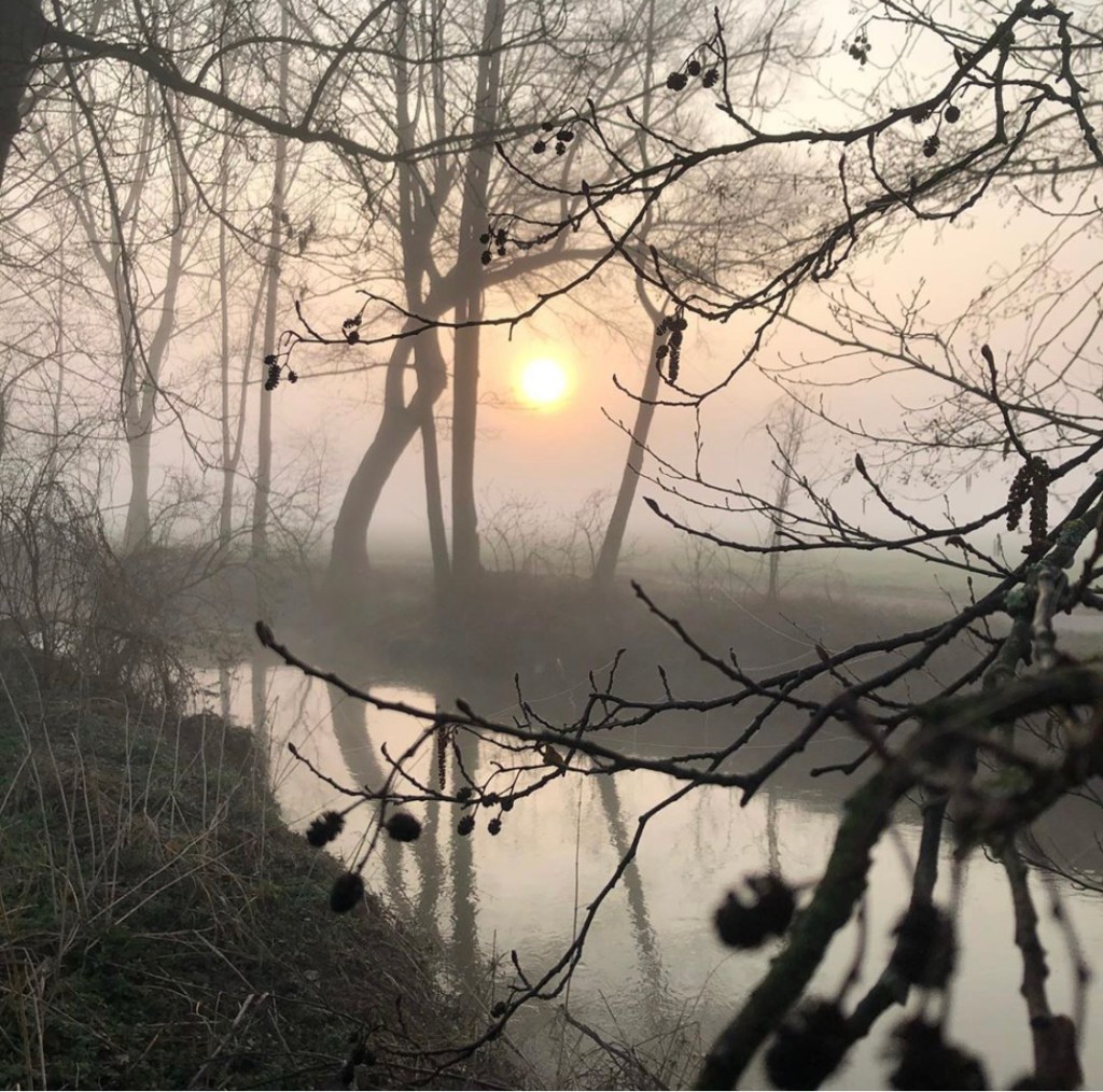 Creating a Legacy: Reflections from a Seasoned&nbsp;Soul